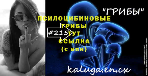 дживик Белоозёрский