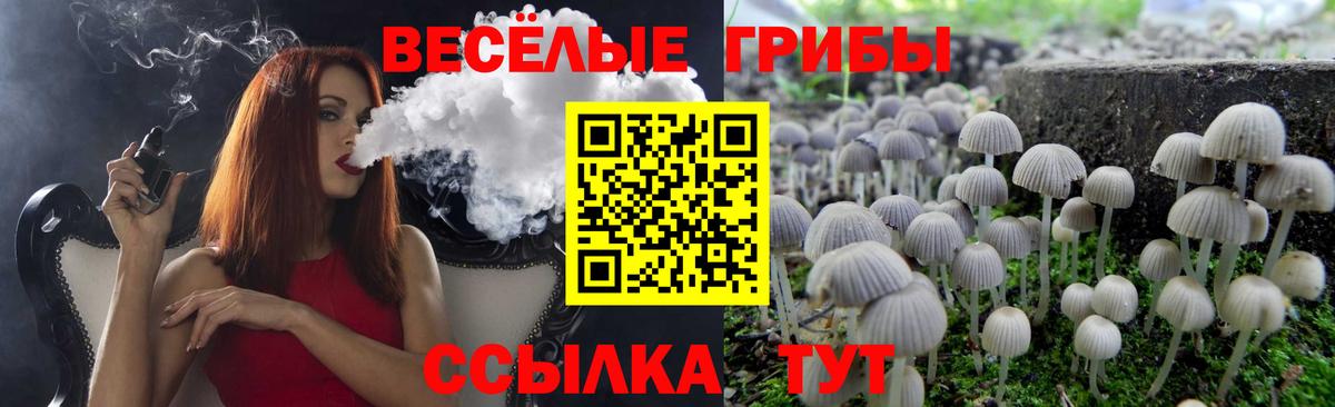Галлюциногенные грибы ЛСД  Галлюциногенные грибы ЛСД  Вход с VPN  купить наркотик  Армавир 